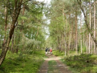 Veluwewandeling - Tongeren, Welna (Neeltje G)