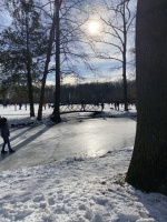 Schaatstafereel rond De Cannenburch (Nel H) (5)